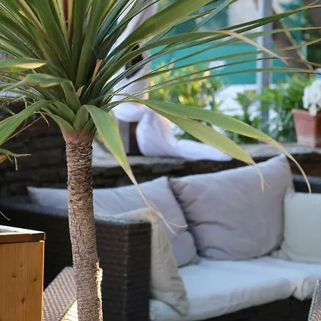 Du Cap Negre Hotel 3*